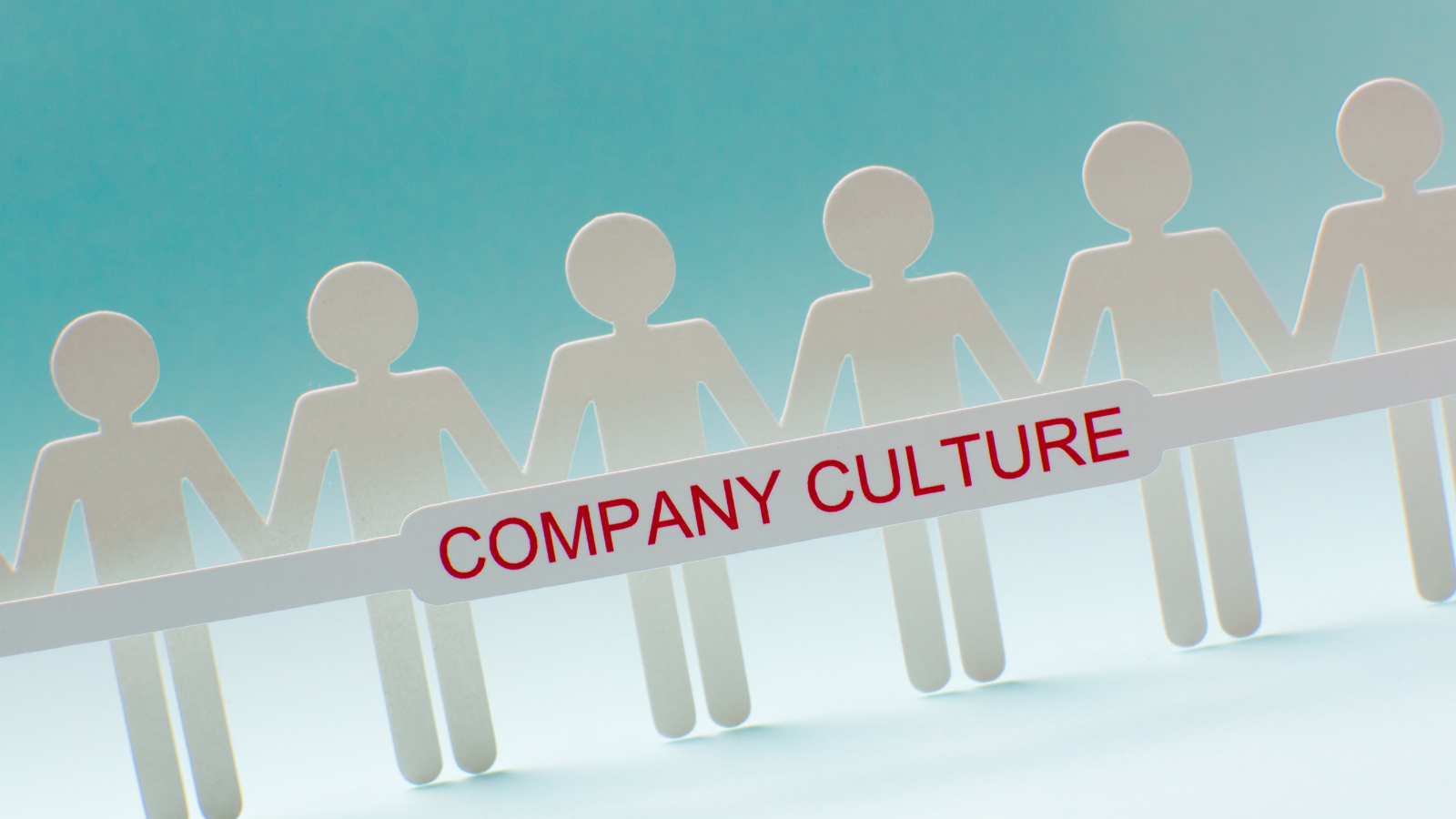 The Ultimate Guide to Company Culture