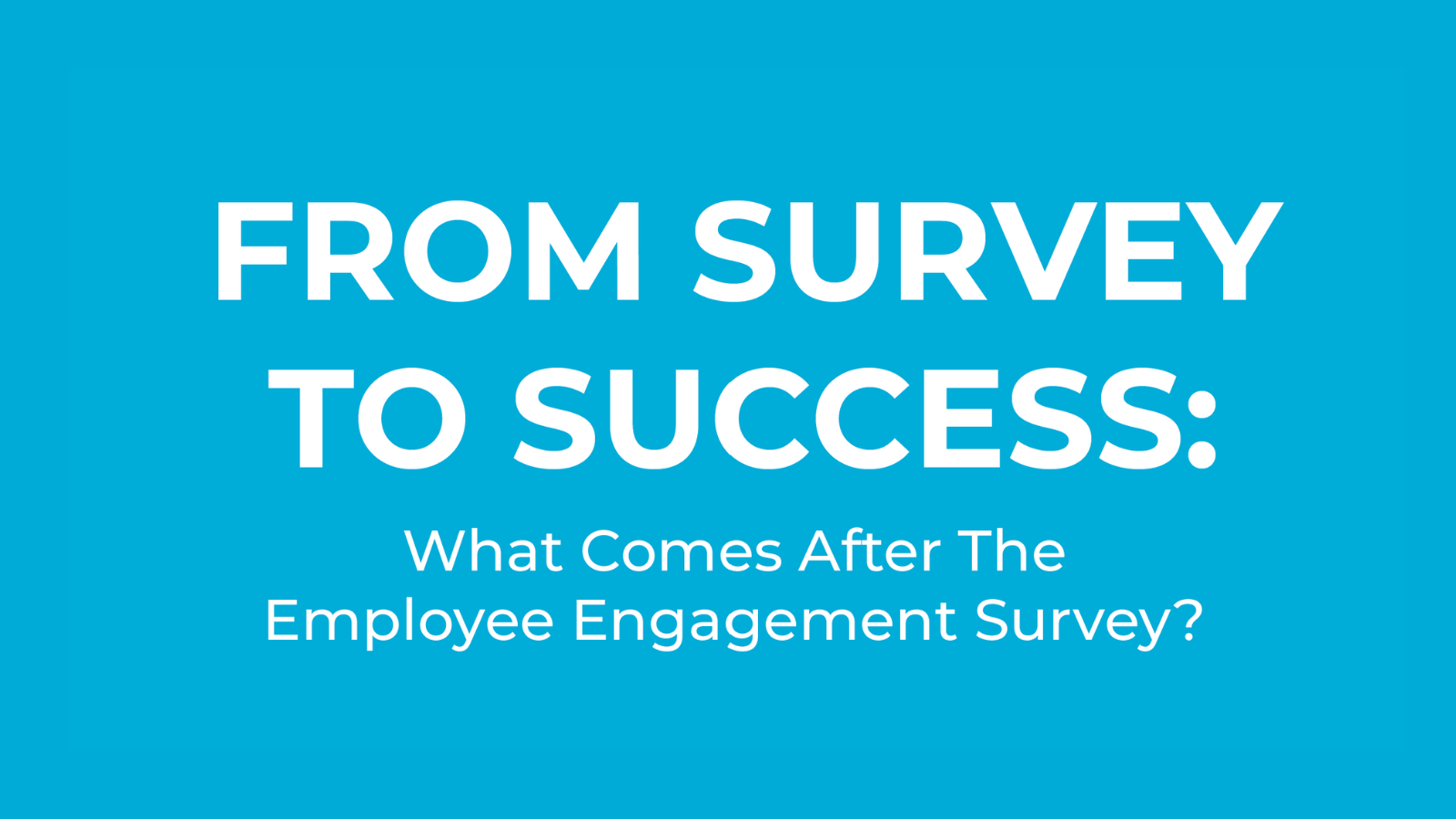 [Infographic] What Comes After The Employee Engagement Survey