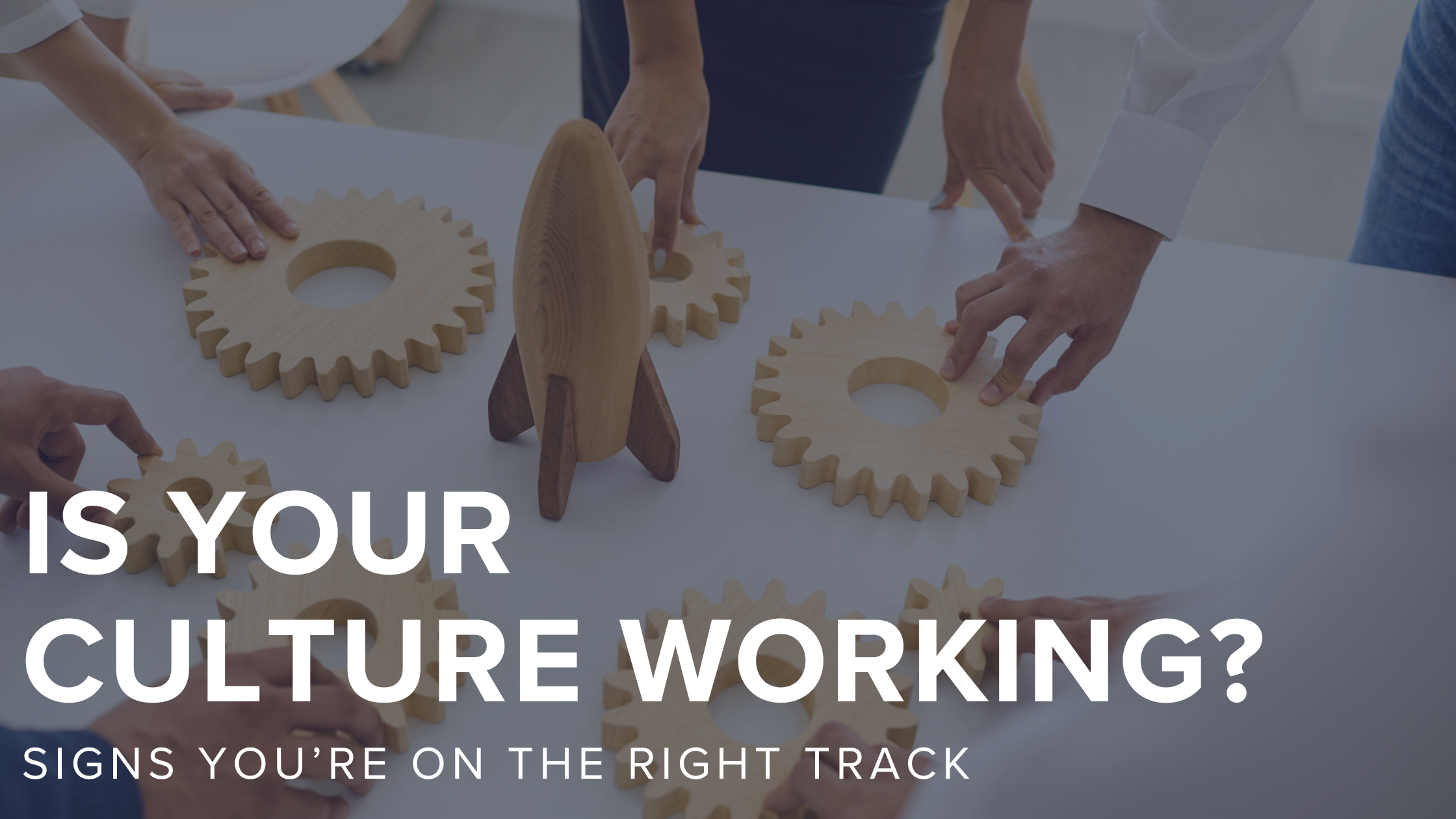 Is Your Culture Working? Signs You’re on the Right Track